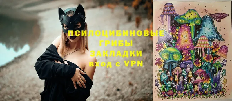 Псилоцибиновые грибы мицелий  darknet Telegram  Нижняя Тура  где можно купить наркотик 